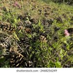 众赢国际官网的最新动态与用户体验分享 75nht29