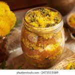 优博平台app:探索全新在线学习与交流的无限可能 7t1fkp9