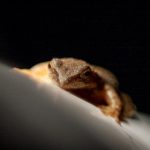 游艇会官网yth206:尽享海上休闲与娱乐的完美平台 bdxr412c6a