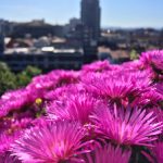 亚虎app官方下载指南:一步步教你轻松获取应用 fwd7f7aj