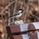 深入解析钱柜平台网站的功能与用户体验 gk4daajy