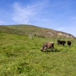 亚博最新网:为您提供全面的游戏资讯与精彩活动推荐 l06hu2flz9