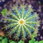 优博注册流程详解,轻松开启你的优博之旅 ywlu7k